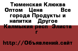 Тюменская Клюква Оптом › Цена ­ 200 - Все города Продукты и напитки » Другое   . Калмыкия респ.,Элиста г.